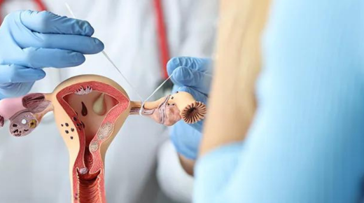 Exploring the Department of Obstetrics and Gynaecology - A Comprehensive Overview