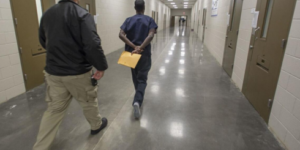 Immigration Habeas Corpus Attorney