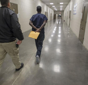 Immigration Habeas Corpus Attorney